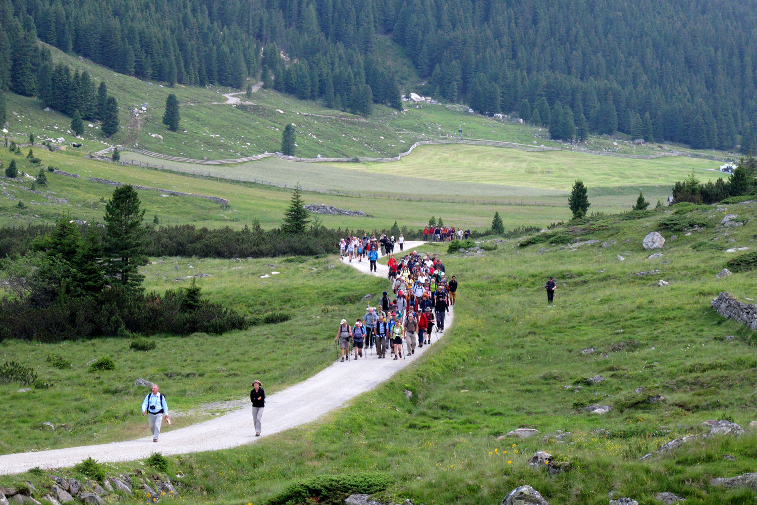 The whole Alpice Peace Crossing group (~170 people) hiking through the Krimmler Achetal valley.